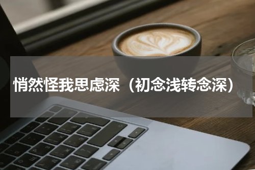 悄然怪我思虑深（初念浅转念深）