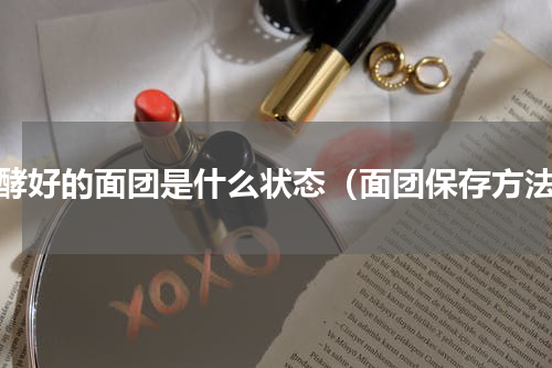发酵好的面团是什么状态（面团保存方法）