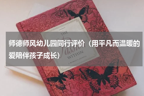 师德师风幼儿园同行评价（用平凡而温暖的爱陪伴孩子成长）