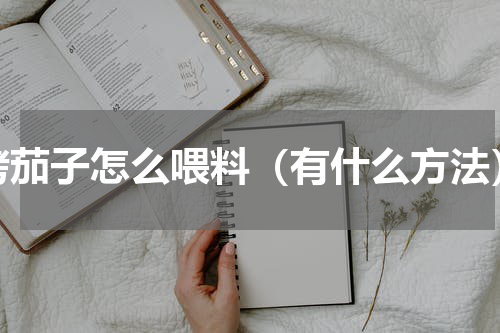 烤茄子怎么喂料（有什么方法）