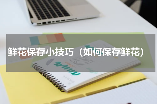 鲜花保存小技巧（如何保存鲜花）