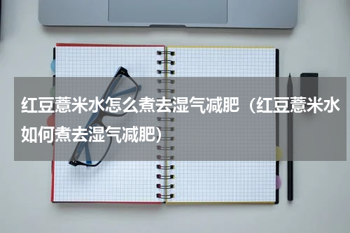 红豆薏米水怎么煮去湿气减肥（红豆薏米水如何煮去湿气减肥）