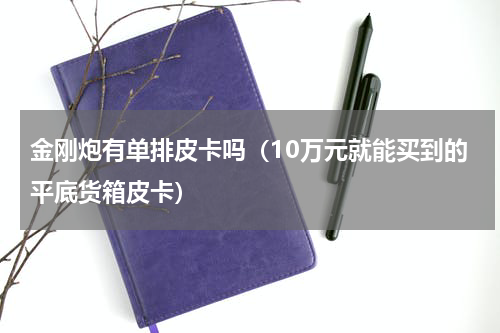 金刚炮有单排皮卡吗（10万元就能买到的平底货箱皮卡）