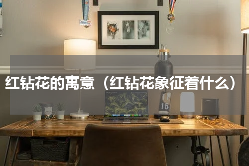 红钻花的寓意（红钻花象征着什么）