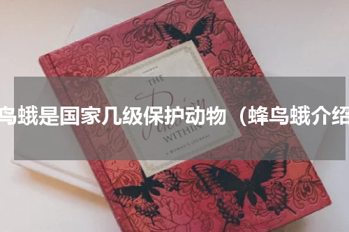 蜂鸟蛾是国家几级保护动物（蜂鸟蛾介绍）