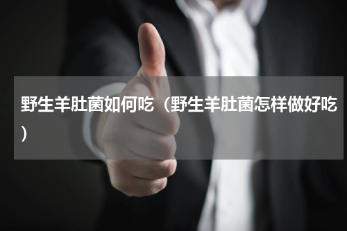 野生羊肚菌如何吃（野生羊肚菌怎样做好吃）