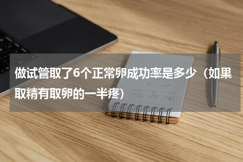 做试管取了6个正常卵成功率是多少（如果取精有取卵的一半疼）