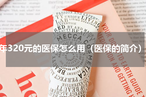 每年320元的医保怎么用（医保的简介）