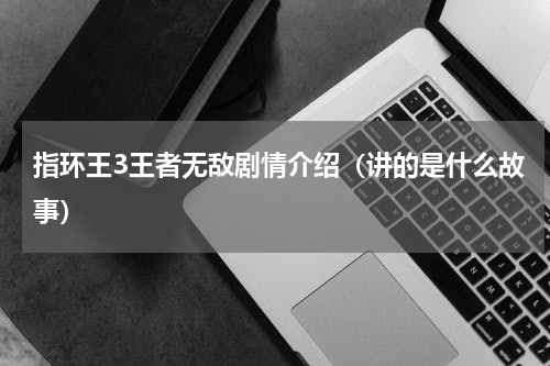 指环王3王者无敌剧情介绍（讲的是什么故事）