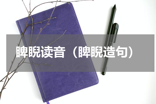 睥睨读音（睥睨造句）