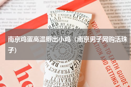 南京鸡蛋高温孵出小鸡（南京男子网购活珠子）