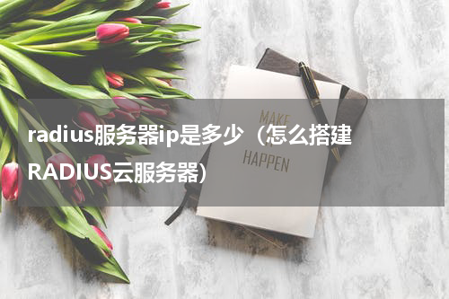 radius服务器ip是多少（怎么搭建RADIUS云服务器）