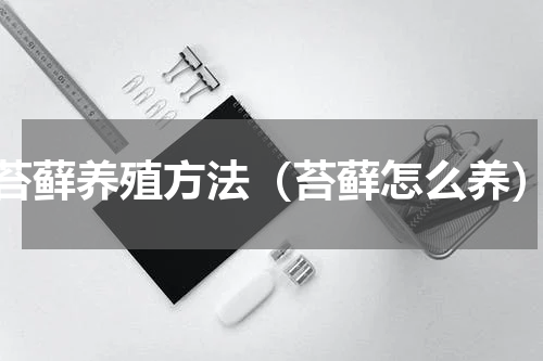 苔藓养殖方法（苔藓怎么养）
