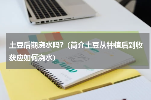 土豆后期浇水吗?（简介土豆从种植后到收获应如何浇水）