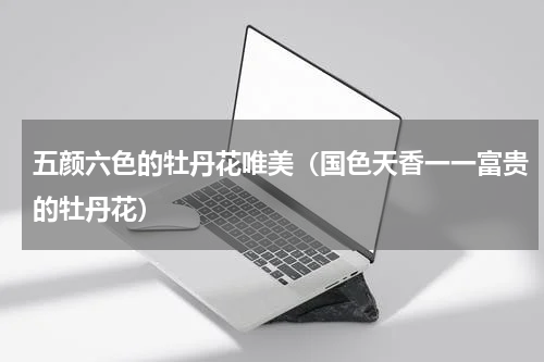 五颜六色的牡丹花唯美（国色天香一一富贵的牡丹花）