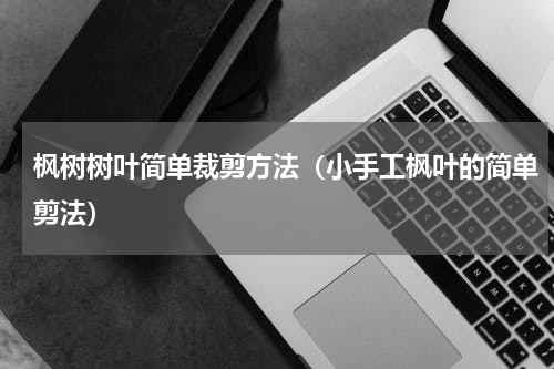 枫树树叶简单裁剪方法（小手工枫叶的简单剪法）