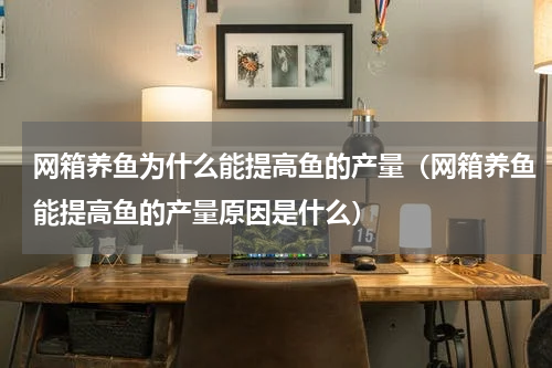 网箱养鱼为什么能提高鱼的产量（网箱养鱼能提高鱼的产量原因是什么）