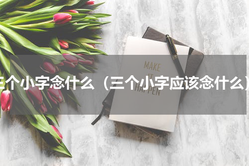 三个小字念什么（三个小字应该念什么）