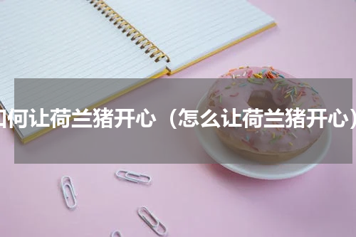 如何让荷兰猪开心（怎么让荷兰猪开心）
