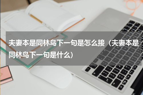 夫妻本是同林鸟下一句是怎么接（夫妻本是同林鸟下一句是什么）