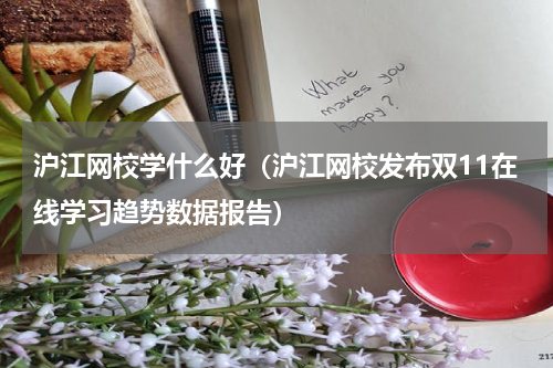 沪江网校学什么好（沪江网校发布双11在线学习趋势数据报告）