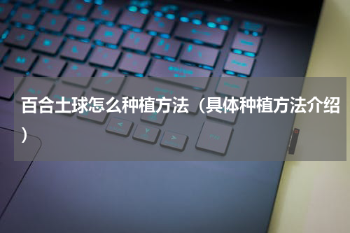 百合土球怎么种植方法（具体种植方法介绍）
