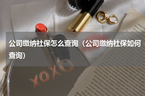 公司缴纳社保怎么查询（公司缴纳社保如何查询）