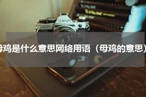 母鸡是什么意思网络用语（母鸡的意思）