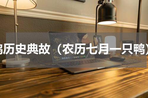 鸭历史典故（农历七月一只鸭）