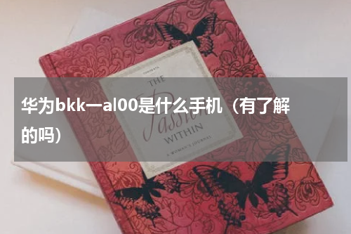 华为bkk一al00是什么手机（有了解的吗）