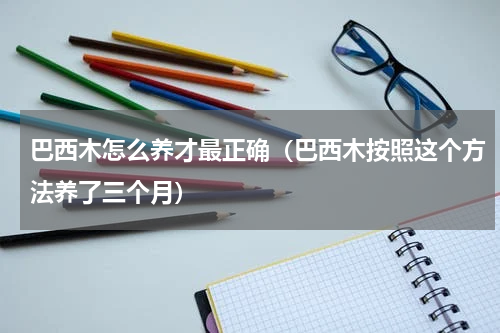 巴西木怎么养才最正确（巴西木按照这个方法养了三个月）