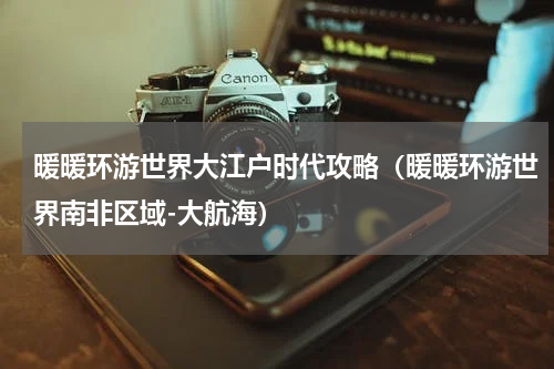 暖暖环游世界大江户时代攻略（暖暖环游世界南非区域-大航海）
