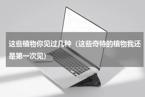 这些植物你见过几种（这些奇特的植物我还是第一次见）