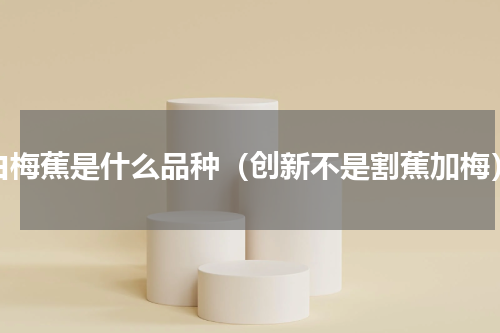 白梅蕉是什么品种（创新不是割蕉加梅）