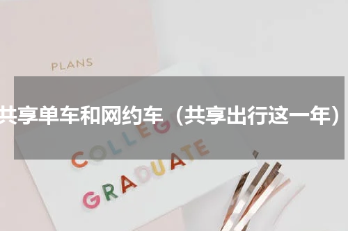 共享单车和网约车（共享出行这一年）