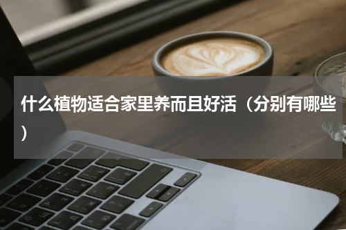 什么植物适合家里养而且好活（分别有哪些）