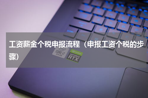 工资薪金个税申报流程（申报工资个税的步骤）