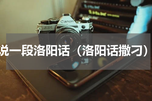 说一段洛阳话（洛阳话撒刁）
