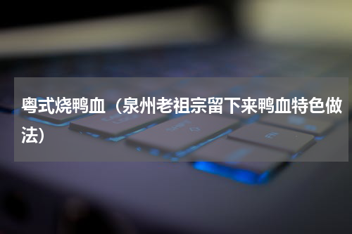 粤式烧鸭血（泉州老祖宗留下来鸭血特色做法）