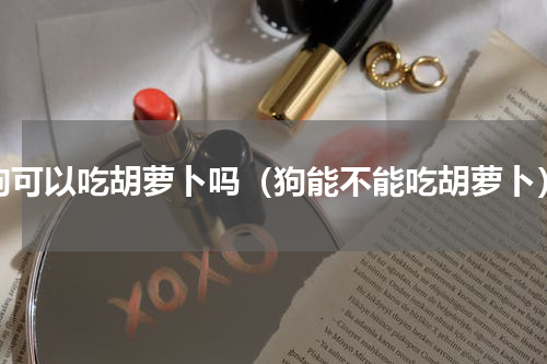 狗可以吃胡萝卜吗（狗能不能吃胡萝卜）