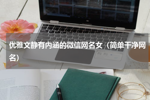 优雅文静有内涵的微信网名女（简单干净网名）