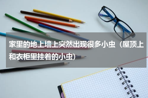 家里的地上墙上突然出现很多小虫（屋顶上和衣柜里挂着的小虫）