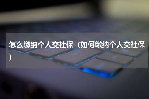 怎么缴纳个人交社保（如何缴纳个人交社保）