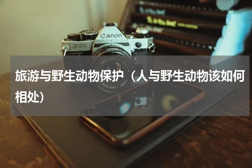 旅游与野生动物保护（人与野生动物该如何相处）