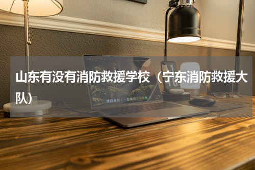 山东有没有消防救援学校（宁东消防救援大队）