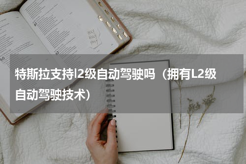 特斯拉支持l2级自动驾驶吗（拥有L2级自动驾驶技术）