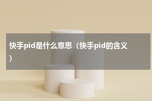 快手pid是什么意思（快手pid的含义）