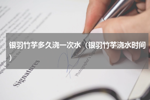 银羽竹芋多久浇一次水（银羽竹芋浇水时间）