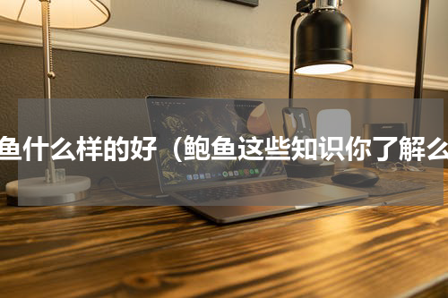 鲍鱼什么样的好（鲍鱼这些知识你了解么）