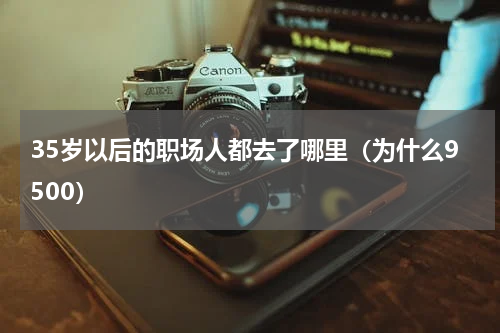 35岁以后的职场人都去了哪里（为什么9500）